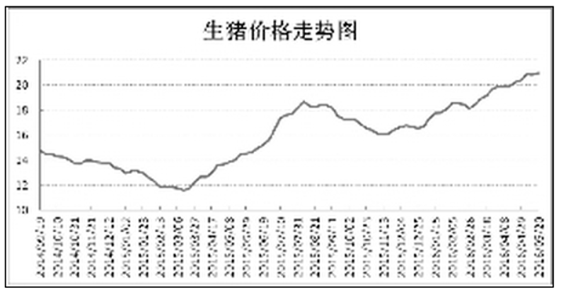 如何有效消灭养殖场内的蚊蝇？让我们一起看看最有效的药物有哪些。